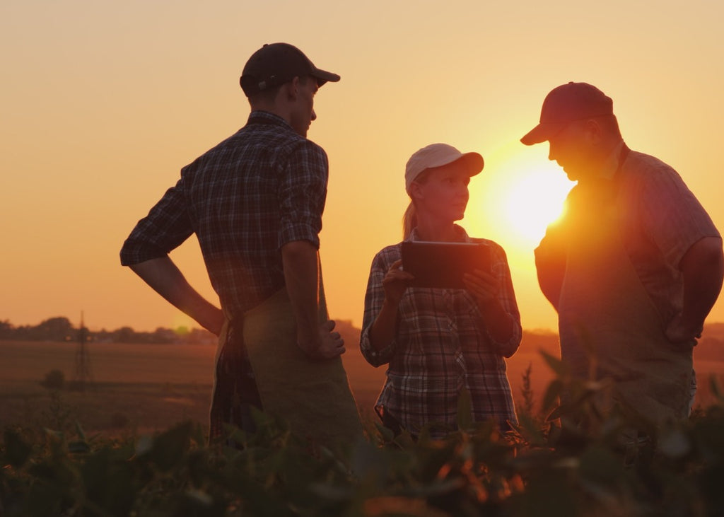 What the pandemic has taught us about the importance of local food